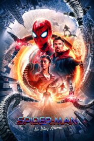 Spider-Man: No Way Home (2021) Multi Audio 4K|1080p|720p|480p Download
