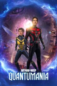 Ant-Man and the Wasp: Quantumania (2023) Multi Audio 4K|1080p|720p|480p Download
