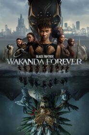 Black Panther: Wakanda Forever (2022) Multi Audio 4K|1080p|720p|480p Download