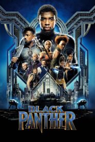 Black Panther (2018) Multi Audio 4K|1080p|720p|480p Download